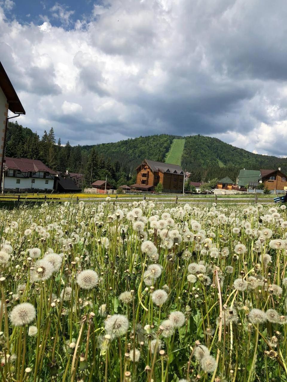 Sadyba U Halyny Sunrise Bukovel Dış mekan fotoğraf