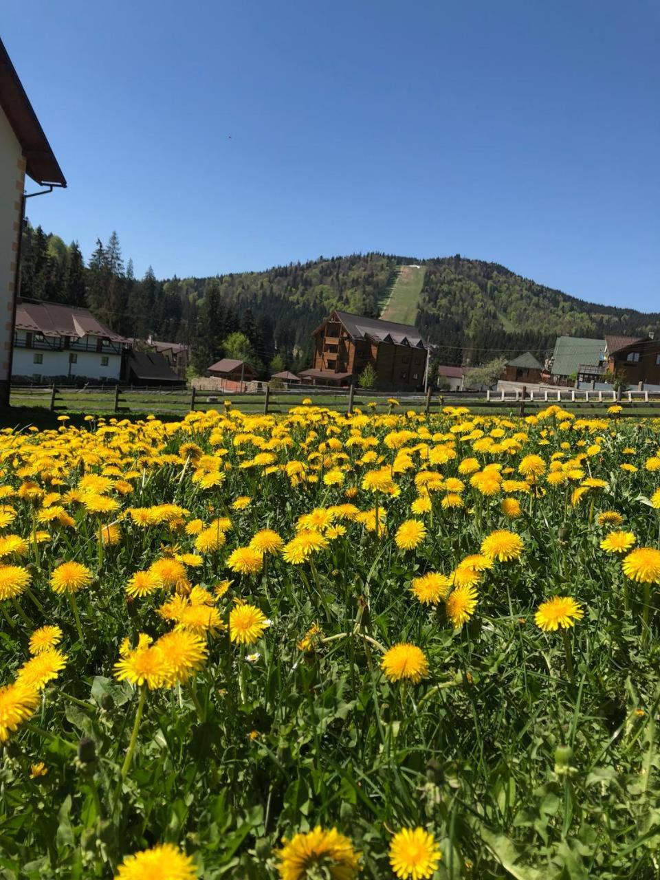 Sadyba U Halyny Sunrise Bukovel Dış mekan fotoğraf