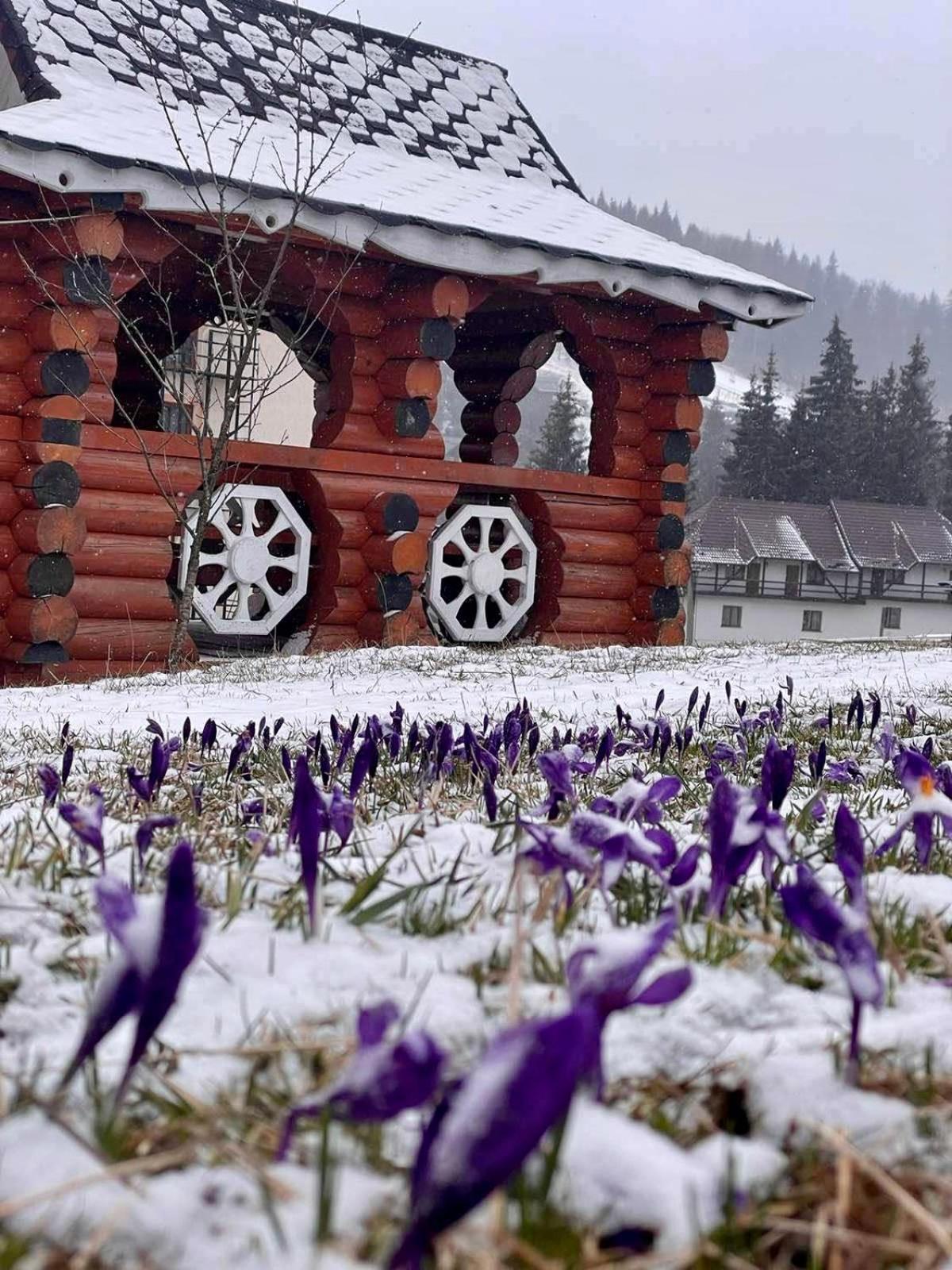 Sadyba U Halyny Sunrise Bukovel Dış mekan fotoğraf