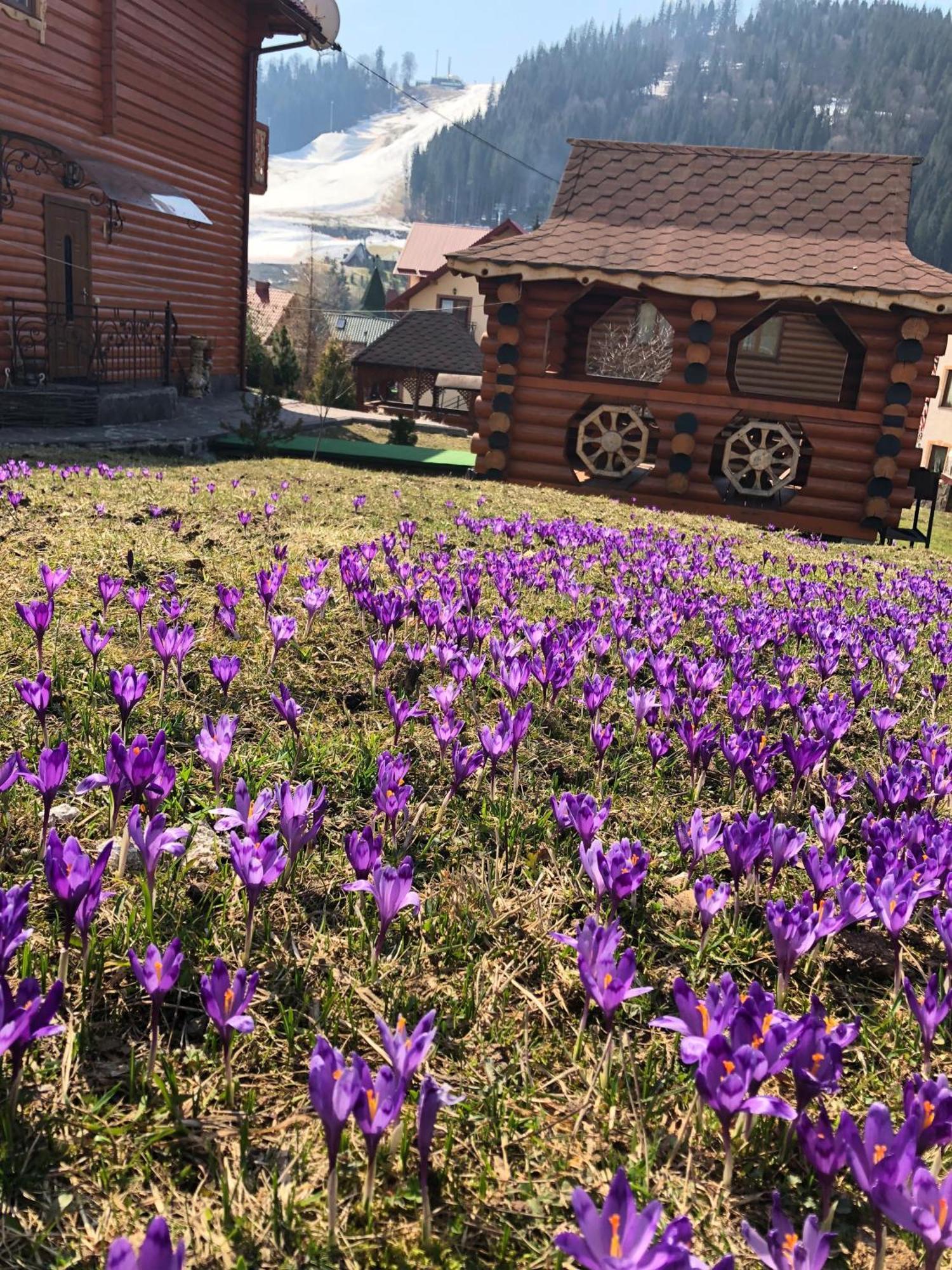 Sadyba U Halyny Sunrise Bukovel Dış mekan fotoğraf
