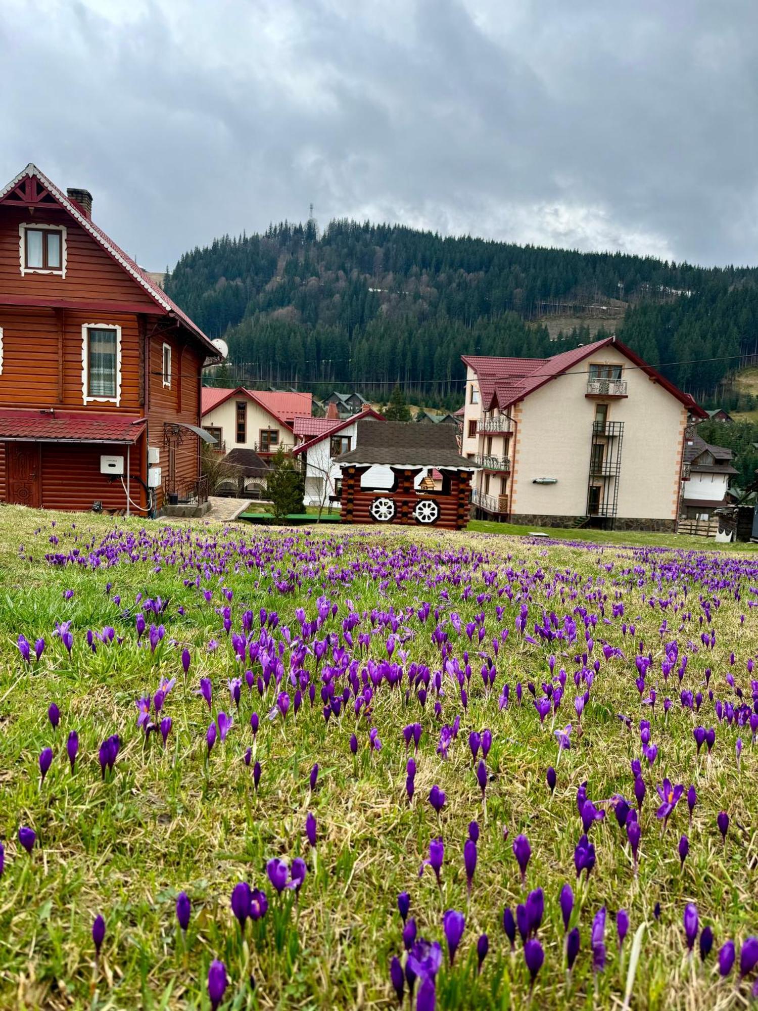 Sadyba U Halyny Sunrise Bukovel Dış mekan fotoğraf